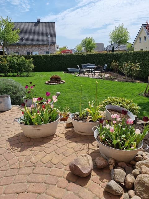 Projektbild 4 – IG Garten- & Gestaltungsbau